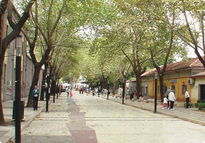 Murat Toptani Pedestrian image